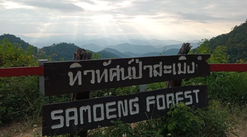 Samoeng Forest